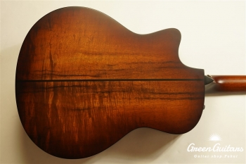 TGS2014 GSce-Koa
